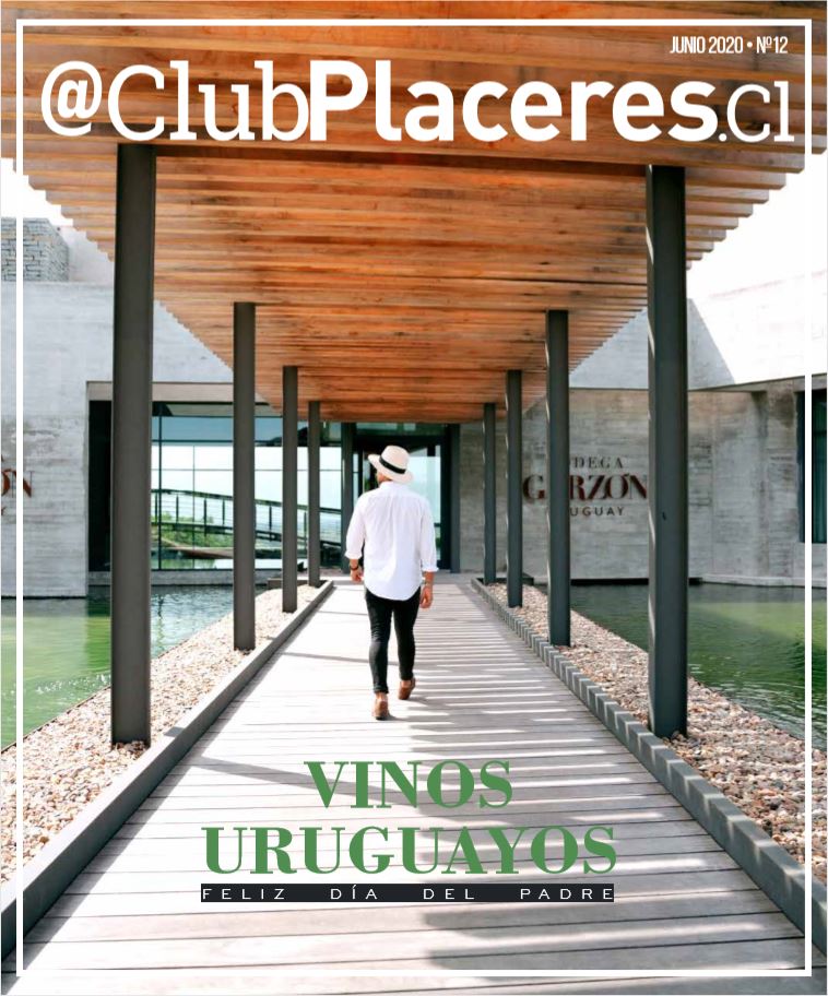 REVISA PLACERES CLUB N°12 JUNIO 2020